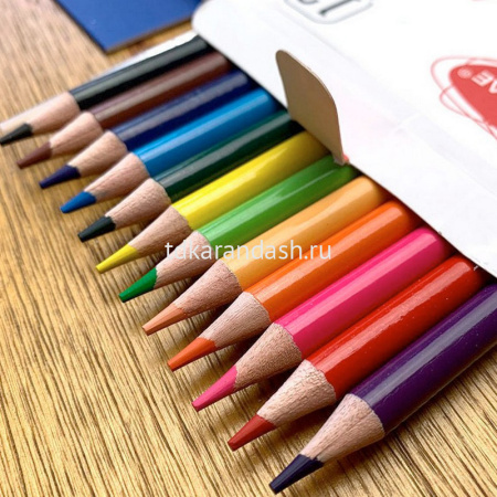 Карандаши акварельные 12 цветов "Acmeliae" с кисточкой круглые дерево, картон 9401-12 от магазина "Карандаш"