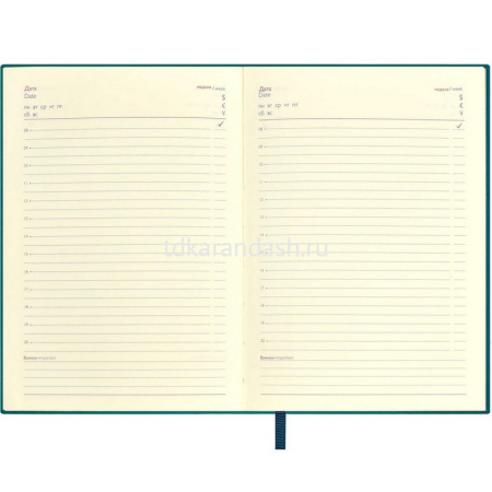 Ежедневник недатированный А6+ "Escalada" 320стр., морская волна, искусственная кожа софт-тач 64029 от магазина "Карандаш"