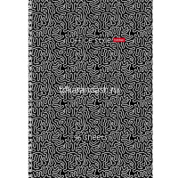 Тетрадь А4 96л линия "Лабиринт" на спирали, перфорация, глянцевая ламинация 4 дизайна 083339 от магазина "Карандаш"