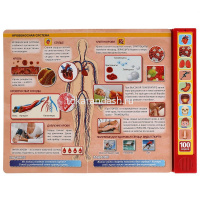 Книга "Моё тело" (10 кнопок, 100 звуков) 10стр. 9785506040323 от магазина "Карандаш"