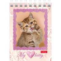 Блокнот А7 40л "Котята" клетка, на спирали 5 дизайнов 40Б7В1гр/051116 от магазина "Карандаш"