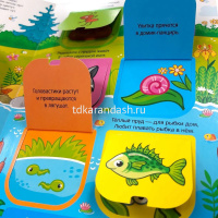Книжка с окошками "Играй и учись. Лес" 12стр. 9785001346388 от магазина "Карандаш"