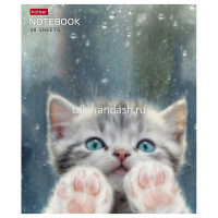 Тетрадь А5 48л клетка "Розовые лапки" на скобе 5 дизайнов 48Т5В1/090370 от магазина "Карандаш"