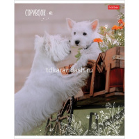 Тетрадь А5 48л линия "Мягкие лапки" на скобе 5 дизайнов 48Т5В2/068570 от магазина "Карандаш"