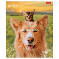 Тетрадь А5 48л линия "Мягкие лапки" на скобе 5 дизайнов 48Т5В2/068570 от магазина "Карандаш"