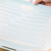 Папка-картотека 13 отделений А4 "Linfini" полипропилен, мятная EF604 от магазина "Карандаш"