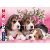 Пазлы 2000 эл. "Premium. Щенки" 98х68см 2000ПЗ1_15484/071650 от магазина "Карандаш"