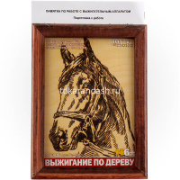 Набор для выжигания 13х18см "Лошадь" (рамка в комплекте) Вр-018 от магазина "Карандаш"