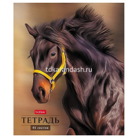 Тетрадь А5 48л клетка "Ассорти. Выпуск №1" на скобе 5 дизайнов 48Т5В1/087345 от магазина "Карандаш"