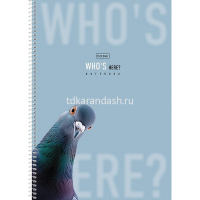 Тетрадь А4 96л клетка "Кто здесь?" на спирали, перфорация на отрыв, матовая ламинация 2 дизайна от магазина "Карандаш"