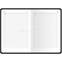 Набор подарочный "Sidney Nebraska" (ежедневник А5 272стр. золото + ручка шариковая) 3-128/11-2 от магазина "Карандаш"