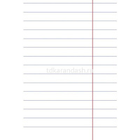 Тетрадь А5 18л линия "Premium. Панда-Тетрадь" на скобе, 80 гр/кв.м. 18Т5A2_23630/065624 от магазина "Карандаш"