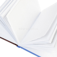 Бизнес-блокнот А6 64л "Россия" клетка/линия 7БЦ матовая ламинация 64ЗКт6В5_30042/082506 от магазина "Карандаш"