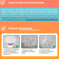 Набор опытов "Юный химик. Фигурные кристаллы" 23х15х6см ВВ4721 от магазина "Карандаш"