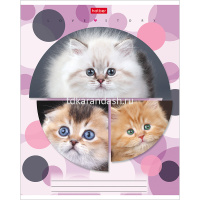 Тетрадь А5 24л клетка "Веселый горошек" на скобе 24Т5В1/046943 от магазина "Карандаш"