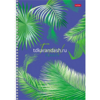 Тетрадь А4 96л клетка "Тропические листья" на спирали 4 дизайна 96Т4тВ1гр/066227 от магазина "Карандаш"
