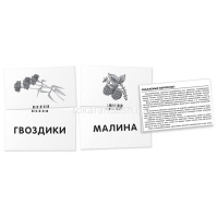 Набор карточек. Читаем по слогам. Собака \ Штец А. А. 48стр. 978-5-8112-4332-7 от магазина "Карандаш"