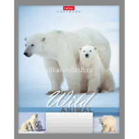 Тетрадь А5 24л линия "Мир животных" на скобе 24Т5B2/028380 от магазина "Карандаш"