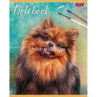 Тетрадь А5 96л клетка "Наши верные друзья" на скобе матовая ламинация 5 дизайнов 080273 от магазина "Карандаш"