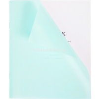 Дневник для 1-11 классов "Бирюза" на скобе пластиковая обложка 085905 от магазина "Карандаш"