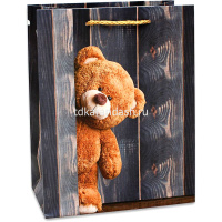 Пакет подарочный "Медведь" 40х56х18см 2 вида 2XL 1718/Y6863-18 от магазина "Карандаш"