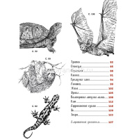 Книга "Рисуем животных ручками и маркерами: 26 реалистичных проектов" Миллер Д.Р. 128стр. 978-5-0014 от магазина "Карандаш"