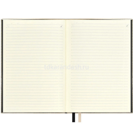 Ежедневник недатированный А5 "Escalada" 320стр., бежевый металлик, искусственная кожа софт-тач 63995 от магазина "Карандаш"