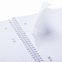 Сменный блок для тетрадей на кольцах А5 80л клетка на спирали 079742 от магазина "Карандаш"