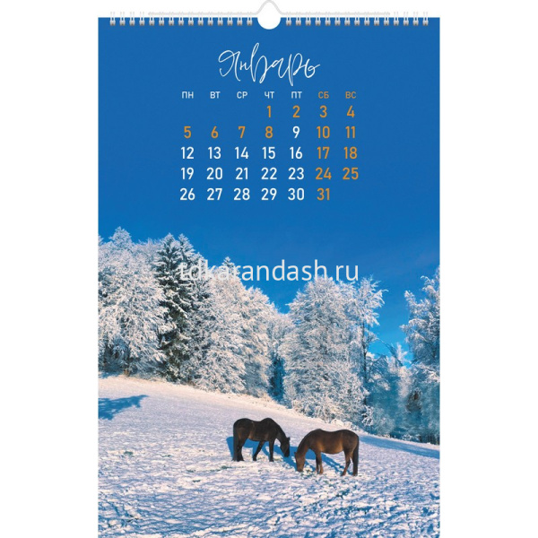 Календарь 2026 "Год Лошади. Дух свободы" 30х45см настенный перекидной, на гребне, с ригелем 091848 от магазина "Карандаш"