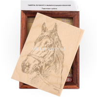 Набор для выжигания 13х18см "Лошадь" (рамка в комплекте) Вр-018 от магазина "Карандаш"