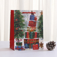 Пакет подарочный "Новый год" 18х23х10см 4 вида Y10548-24 от магазина "Карандаш"