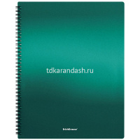 Папка 40 вкладышей "Matt Ice Metallic" А4 на спирали ассорти 49962 от магазина "Карандаш"