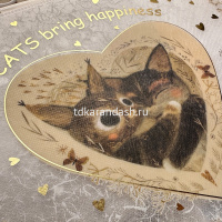 Папка на молнии А4 "Love me. Котики приносят счастье" 245х330х30мм 1 отделение полипропилен 14-037/1 от магазина "Карандаш"
