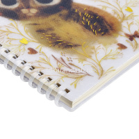 Тетрадь А5 60л клетка "Котики. Счастье" на спирали, обложка полипропилен, фольга 7-60-1268/03 от магазина "Карандаш"