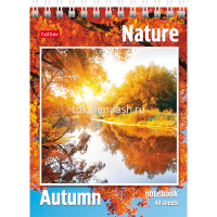 Блокнот А6 40л "Пейзажи" клетка на гребне 40Б6B1гр/004668 от магазина "Карандаш"