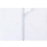 Тетрадь А5 80л клетка "Эти заМУРчательные кошки" на спирали двойная, твердая обложка 081101 от магазина "Карандаш"