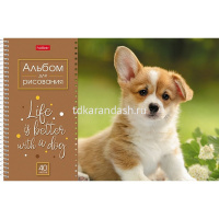 Альбом для рисования А4 40л "Doggie-Щенки" на спирали, перфорация на отрыв, 4 дизайна от магазина "Карандаш"