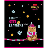 Тетрадь А5 48л клетка "Потому что Капибара" на скобе выборочный лак 5 дизайнов 48Т5вмВ1/086694 от магазина "Карандаш"