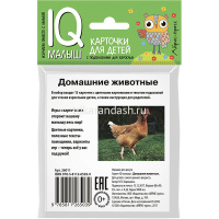 Карточки для детей с подсказками "Домашние животные" Ходюшина Н.П. 14стр. 978-5-8112-6503-9 от магазина "Карандаш"