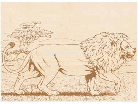 Набор для выжигания 13х18см "Животные №1" доски 5шт 610013 от магазина "Карандаш"