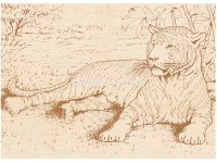 Набор для выжигания 13х18см "Животные №1" доски 5шт 610013 от магазина "Карандаш"