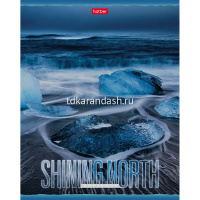 Тетрадь А5 48л клетка "Сияющий север" на скобе, фольгирование, 5 дизайнов 48Т5фВ1/062712 от магазина "Карандаш"