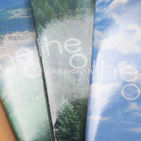 Тетрадь А4 96л линия "Элементы природы" на скобе глянцевая ламинация 3 дизайна 093582 от магазина "Карандаш"