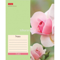 Тетрадь А5 24л линия  "Flowers" на скобе 5 дизайнов 24Т5В2/074946 от магазина "Карандаш"
