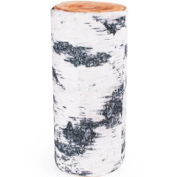 Берёзовое бревно 37х16см BBE1 от магазина "Карандаш"