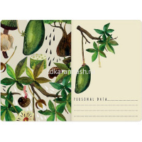 Тетрадь А5 40л клетка "Баобаб" прошитый блок матовая ламинация 7-40-108 от магазина "Карандаш"