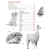 Книга "Рисуем животных ручками и маркерами: 26 реалистичных проектов" Миллер Д.Р. 128стр. 978-5-0014 от магазина "Карандаш"