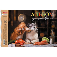 Альбом для рисования А4 40л "Профессионалы" на спирали перфорация на отрыв 4 дизайна 079781 от магазина "Карандаш"