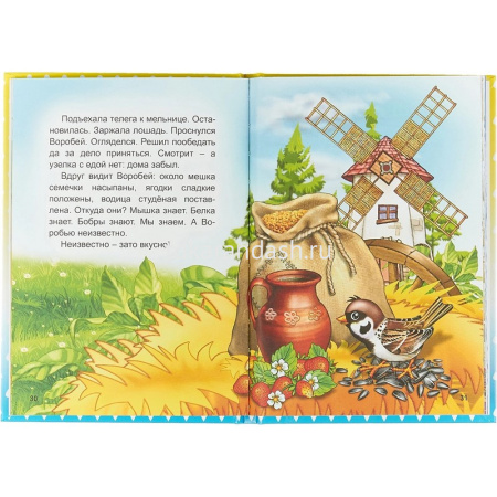 Книга "Капелька. Лесные звезды" 6+ 48стр. 978-5-00033-594-9 от магазина "Карандаш"