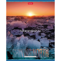 Тетрадь А5 48л клетка "Сияющий север" на скобе, фольгирование, 5 дизайнов 48Т5фВ1/062712 от магазина "Карандаш"